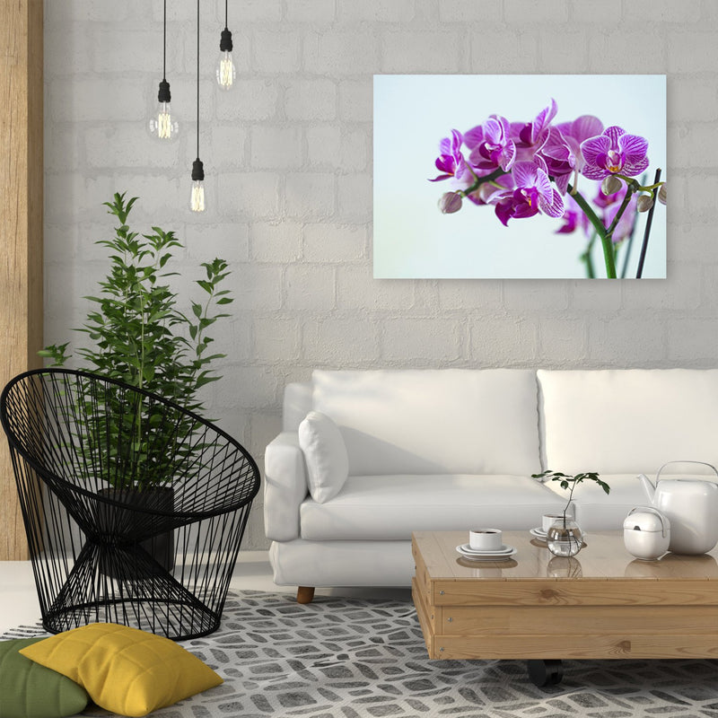 Dekoratīvais panelis - Purple Orchid 