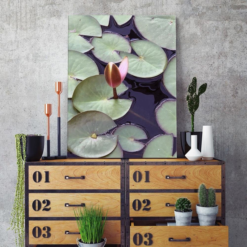 Dekoratīvais panelis - Leaves Of Water Lilies 