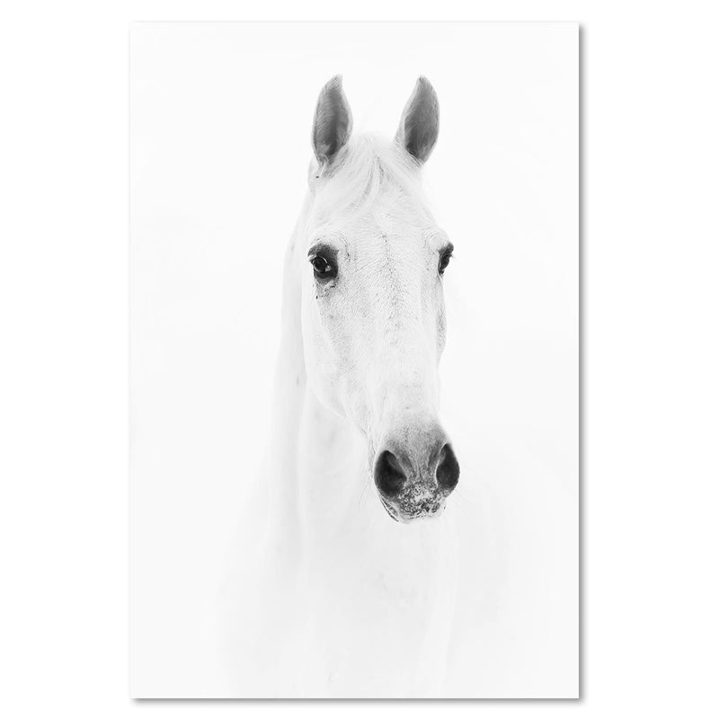 Dekoratīvais panelis - Gray Horse 