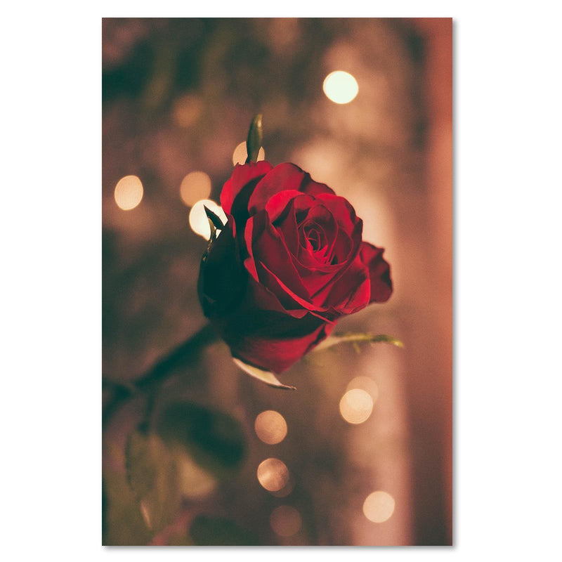 Dekoratīvais panelis - Red Flower Roses 