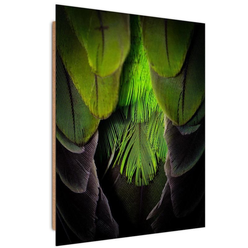 Dekoratīvais panelis - Green Feathers 