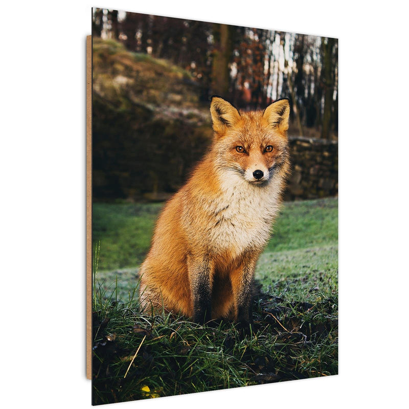 Dekoratīvais panelis - Fox In The Woods 