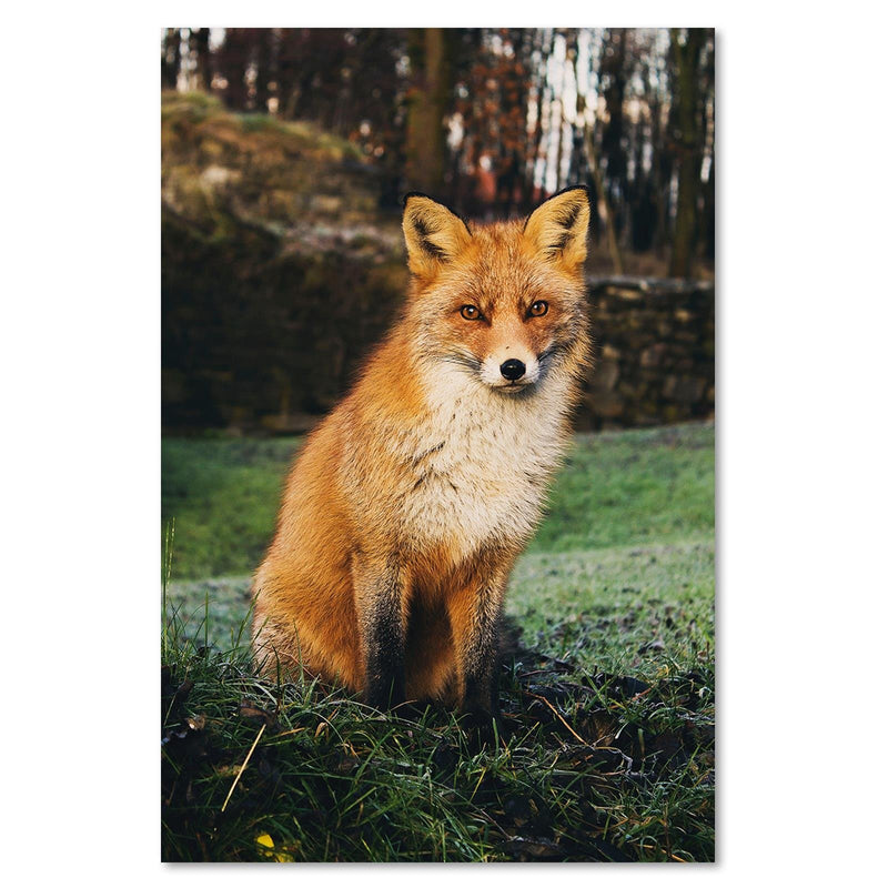 Dekoratīvais panelis - Fox In The Woods 