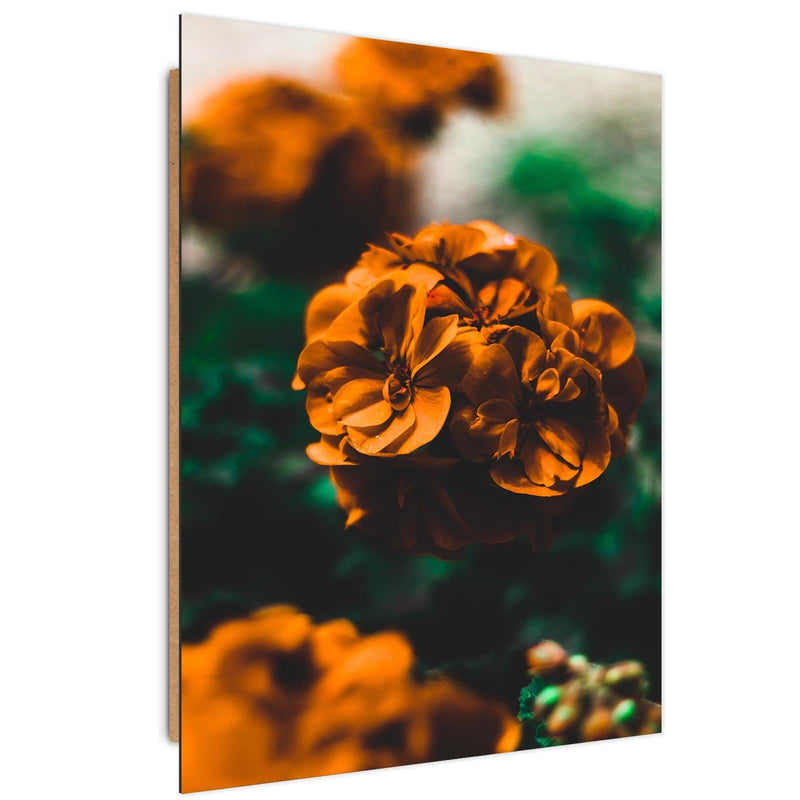 Dekoratīvais panelis - Orange Flowers 