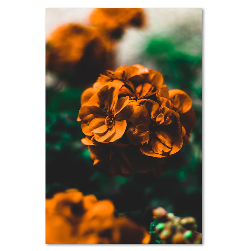 Dekoratīvais panelis - Orange Flowers 