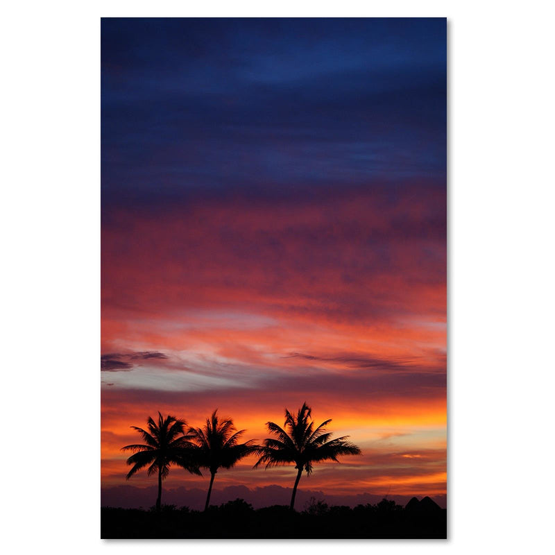 Dekoratīvais panelis - Colorful Sky And Palm Trees 