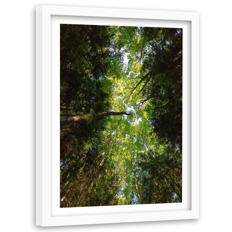 Glezna baltā rāmī - Green Treetops 