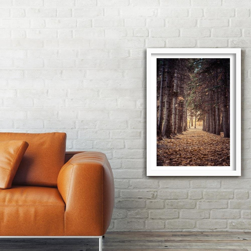 Glezna baltā rāmī - Forest In Autumn 