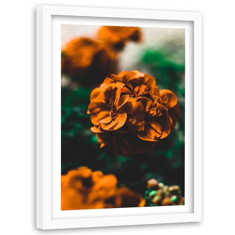 Glezna baltā rāmī - Orange Flowers 