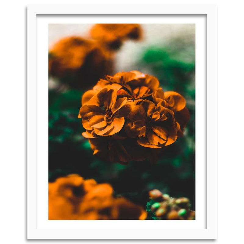Glezna baltā rāmī - Orange Flowers 