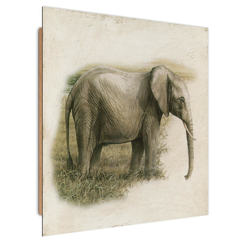 Dekoratīvais panelis - Painted elephant  