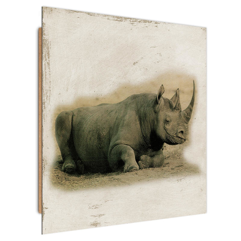Dekoratīvais panelis - Painted rhinoceros 