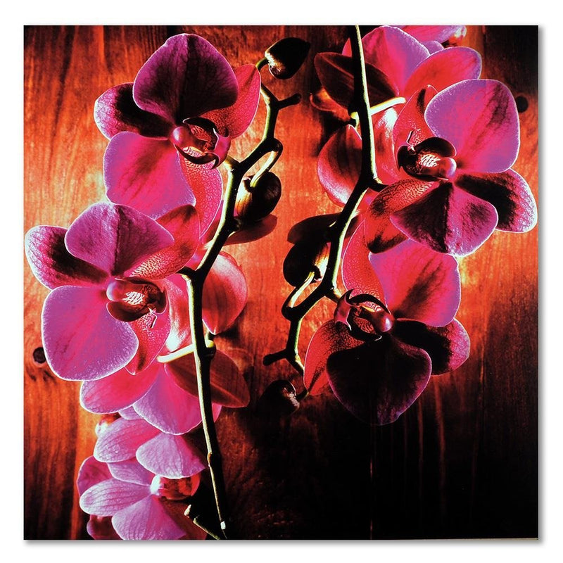 Dekoratīvais panelis - Pink orchids  
