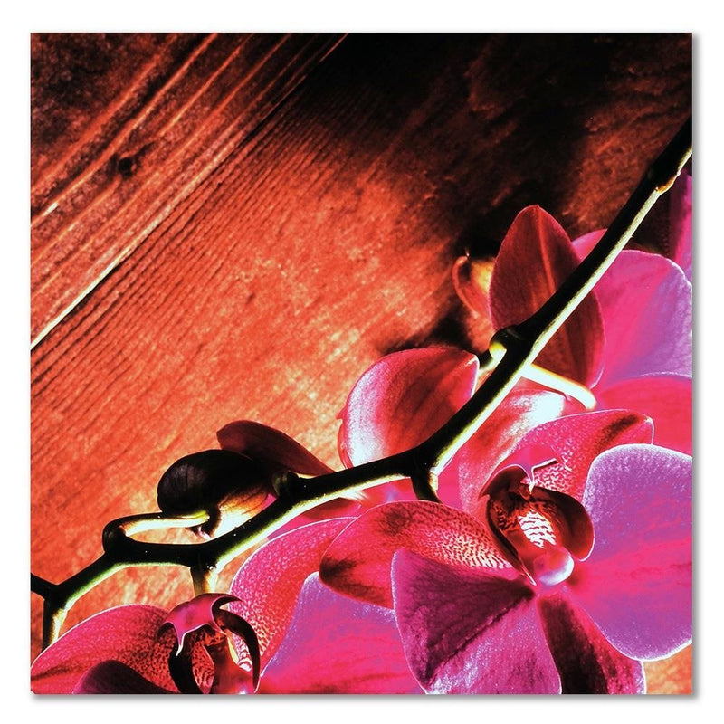 Dekoratīvais panelis - Pink orchids 1 