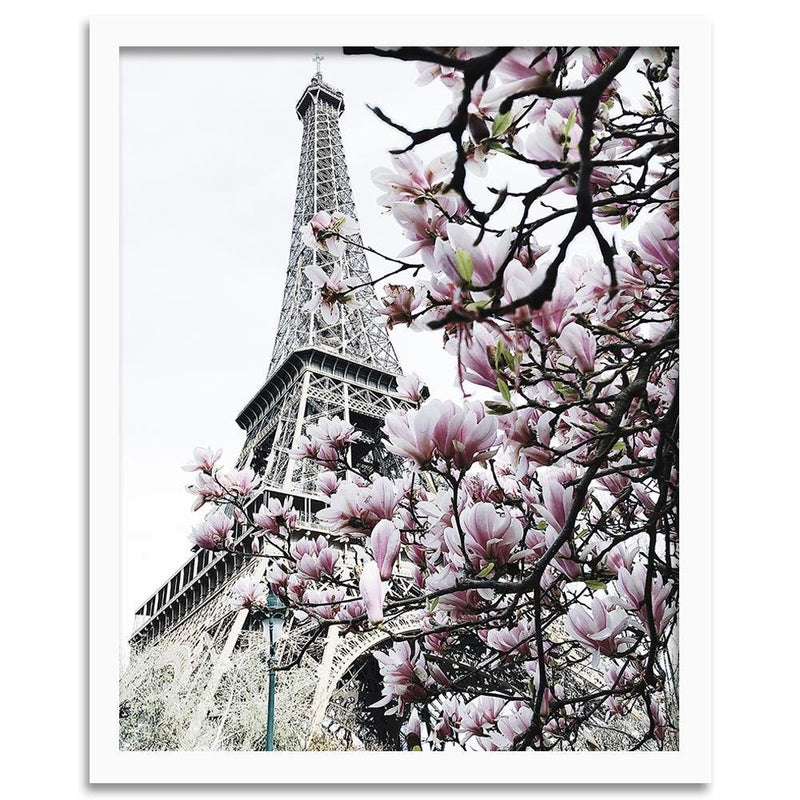 Glezna baltā rāmī - Paris Magnolias 