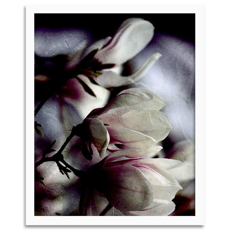 Glezna baltā rāmī - Magnolia Buds 