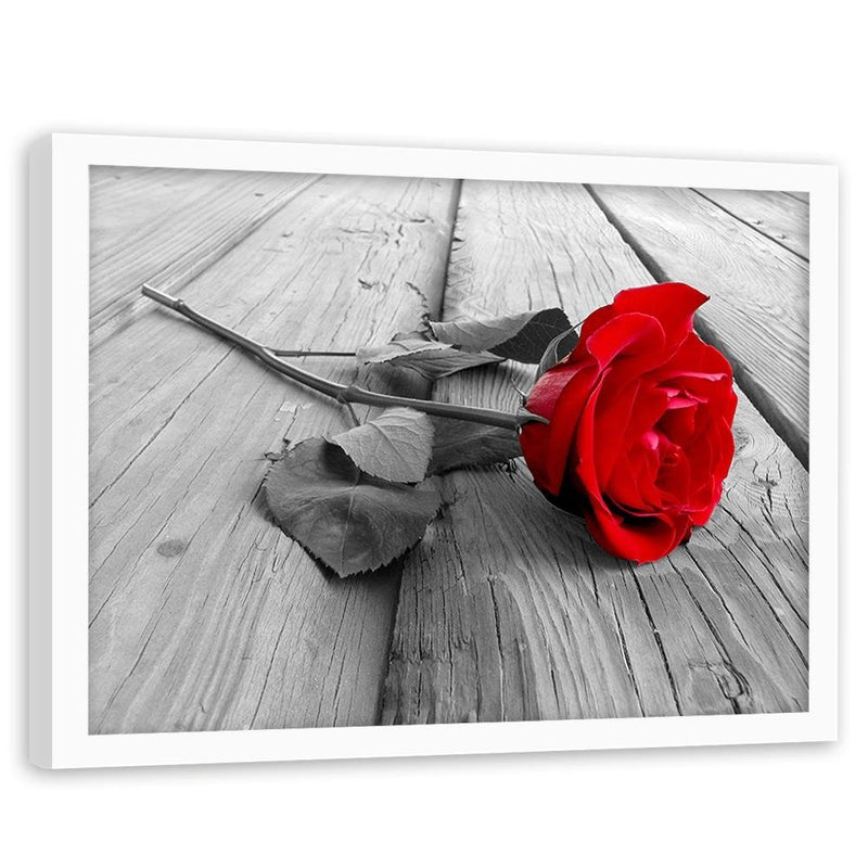 Glezna baltā rāmī - Red Rose 