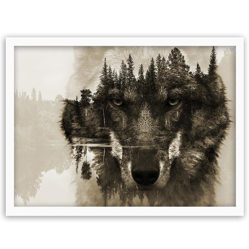 Glezna baltā rāmī - Brown Wolf 