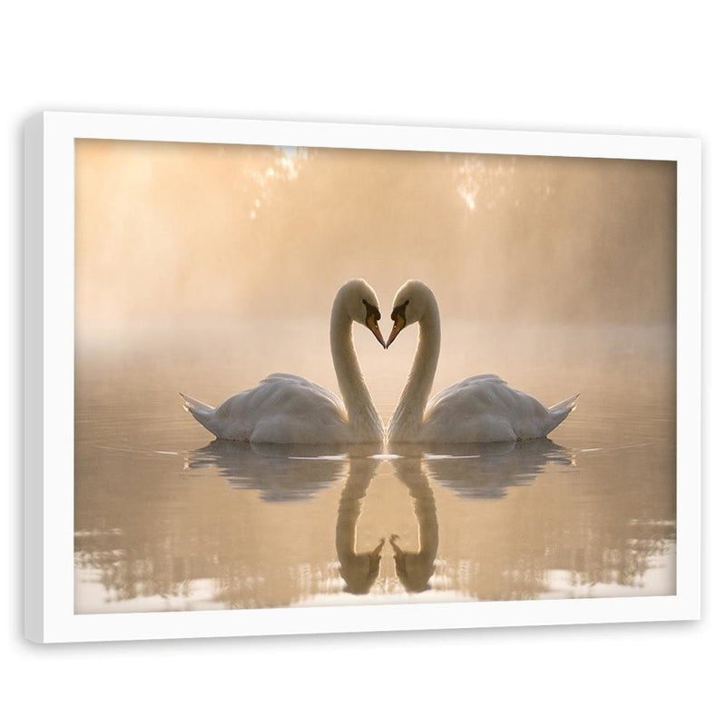 Glezna baltā rāmī - Two Swans 