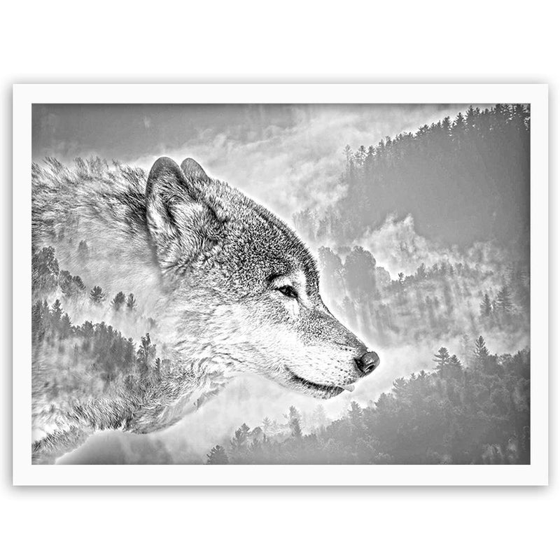 Glezna baltā rāmī - Gray Wolf 