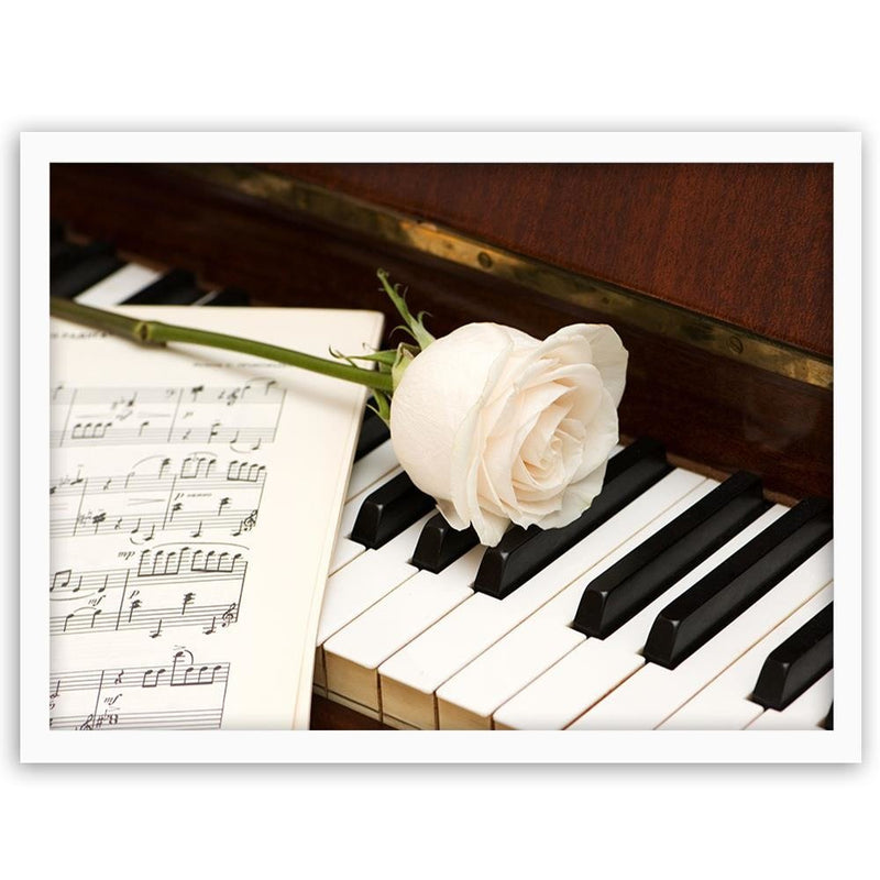 Glezna baltā rāmī - White Rose On The Piano 