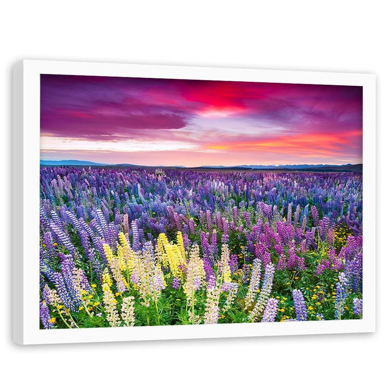 Glezna baltā rāmī - Purple Flowers 