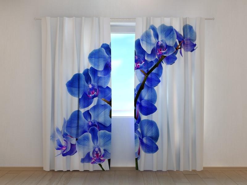 Dienas un nakts aizkari - Zilā orhideja
