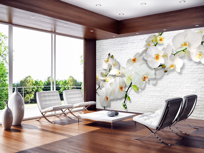 Fototapetes ar baltam orhidejām uz gaiši pelēkas sienas - viesistabai