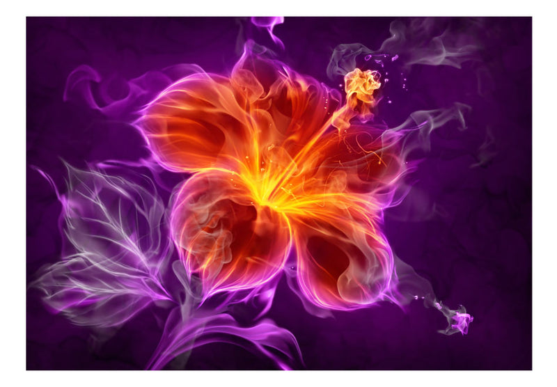 Fototapetes ar ziediem - Ugunīgs zieds violetā krāsā