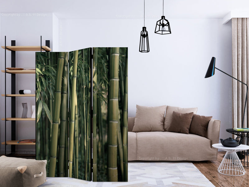 Aizslietnis 3-daļīgs - Bambusa eksotika (135x172cm) 135x172 cm Home Trends