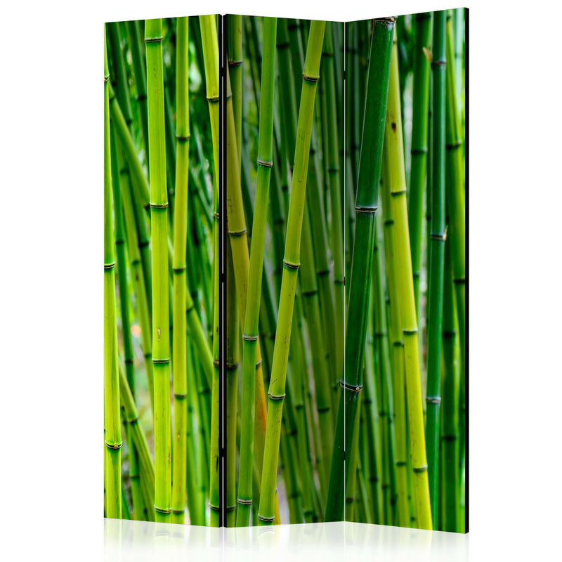 Aizslietnis 3-daļīgs - Bambusa mežs (135x172cm) 135x172 cm Home Trends