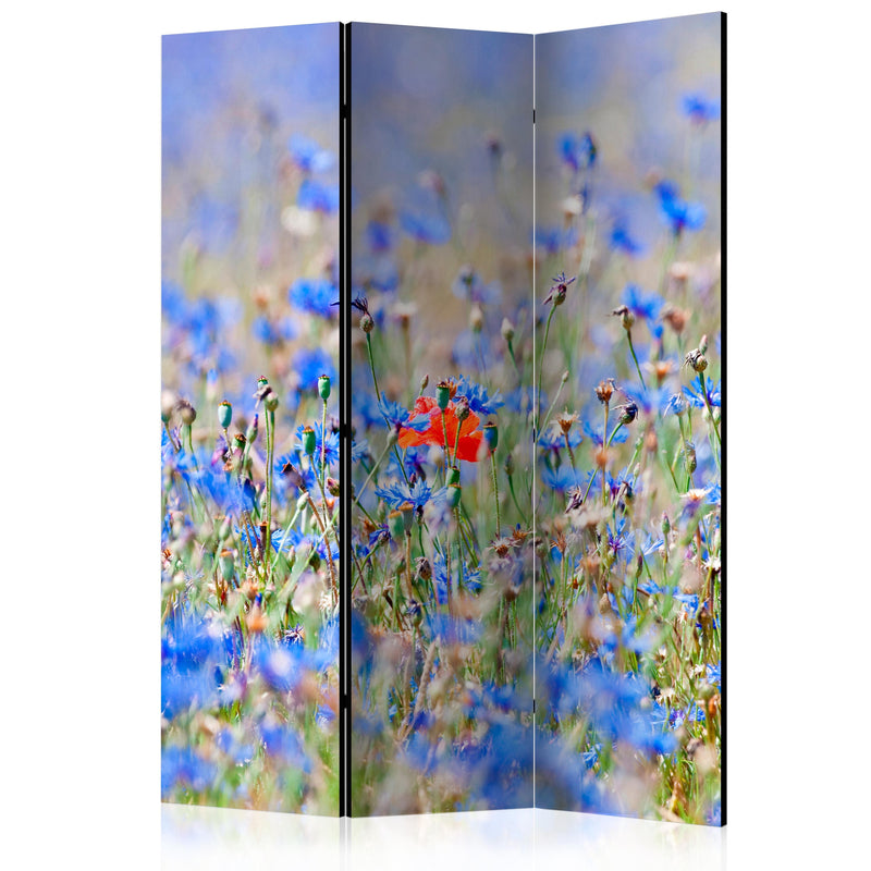 Aizslietnis 3-daļīgs - Debess krāsas pļava - rudzupuķes (135x172cm) 135x172 cm Home Trends