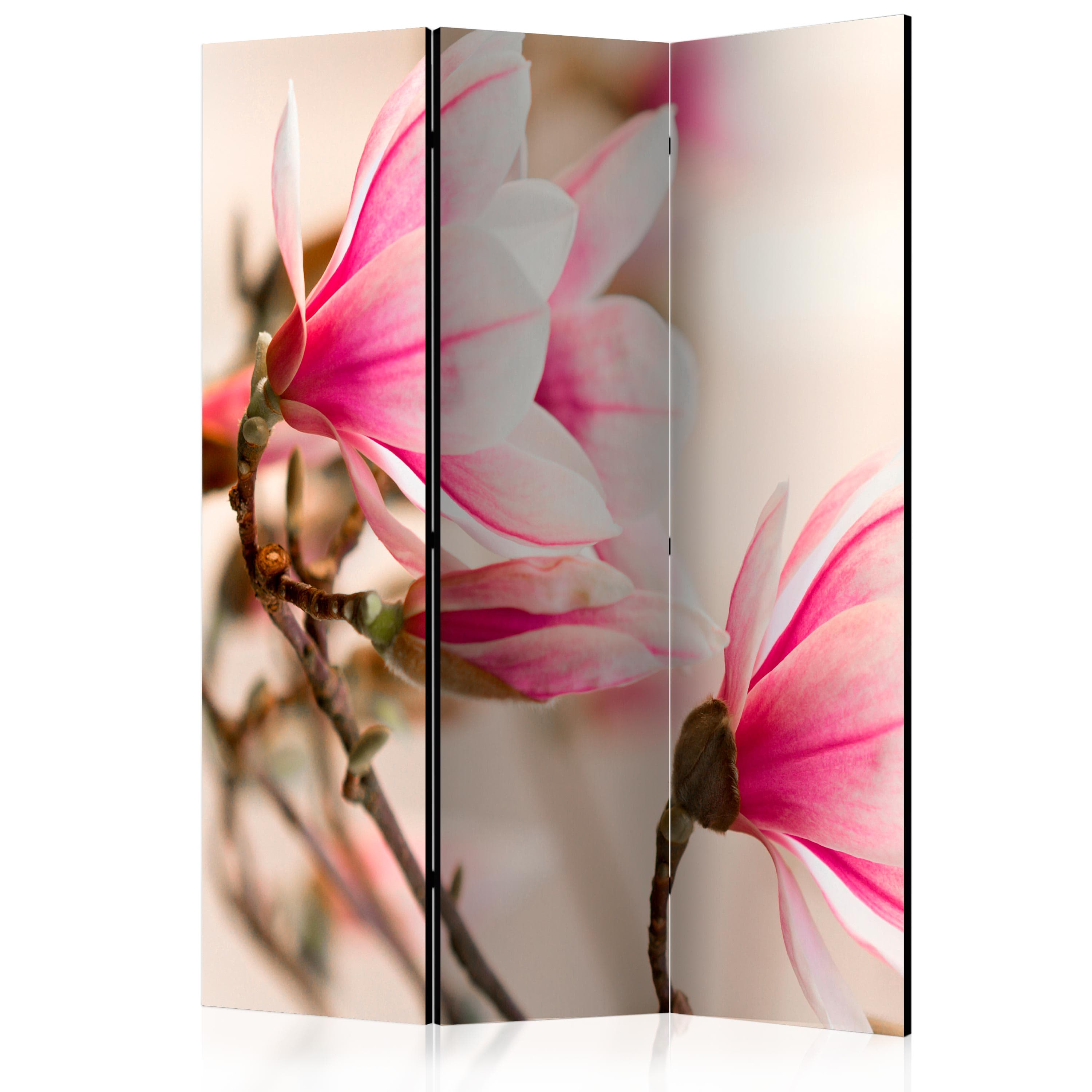 Aizslietnis 3-daļīgs - Magnolijas zariņš (135x172cm) 135x172 cm Home Trends