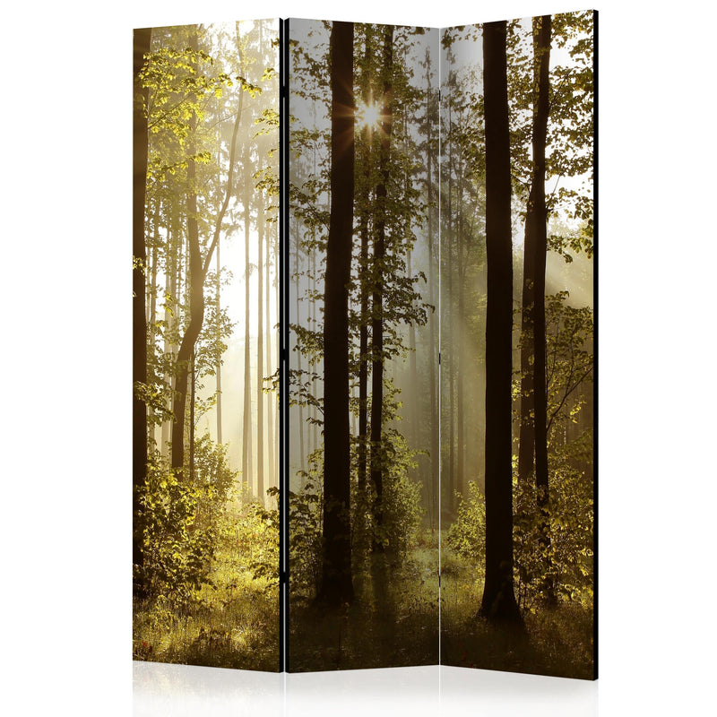 Aizslietnis 3-daļīgs - Mežs - Rīts saules gaismā  (135x172cm) 135x172 cm Home Trends