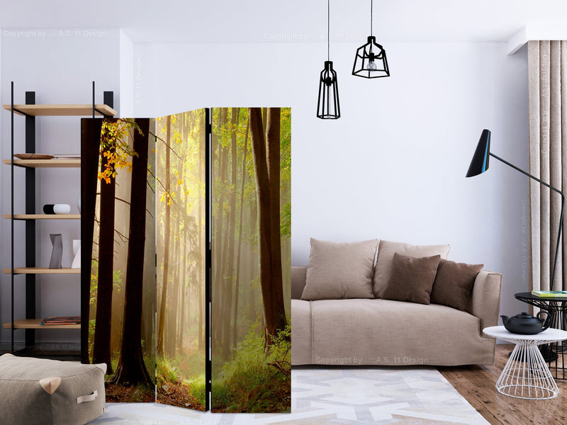 Aizslietnis 3-daļīgs - Noslēpumains meža ceļš (135x172cm) 135x172 cm Home Trends