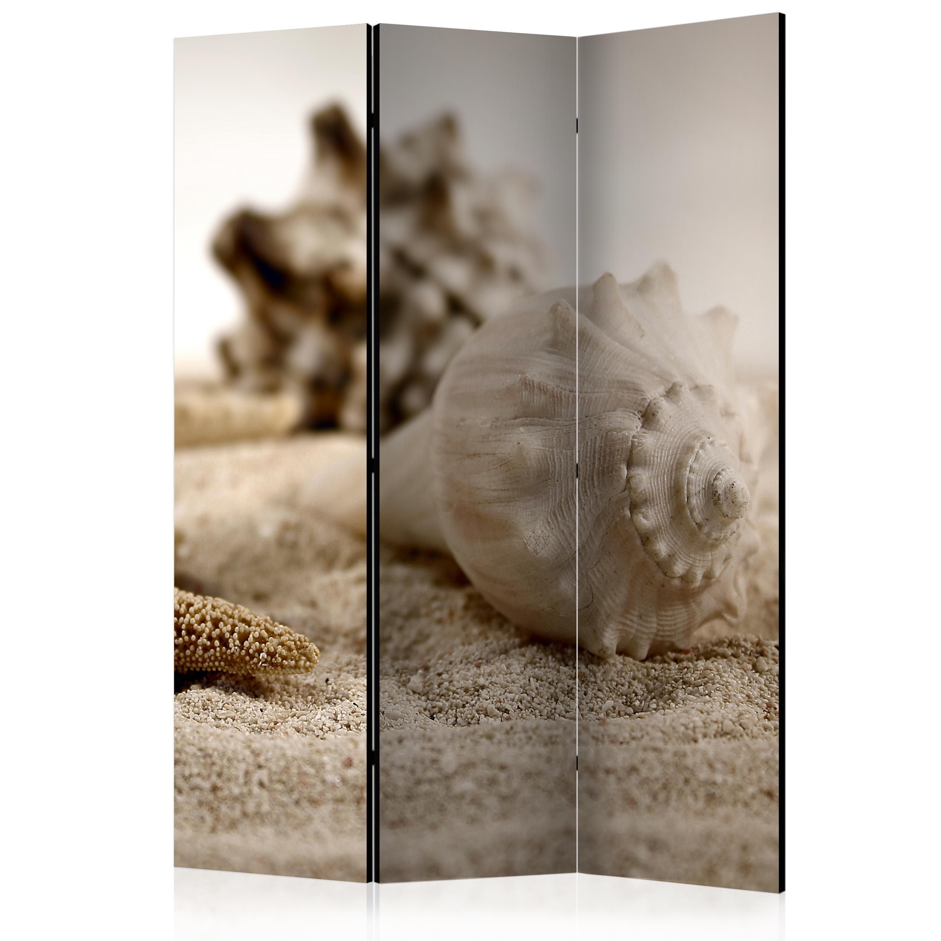 Aizslietnis 3-daļīgs - Pludmale un gliemežvāks (135x172cm) 135x172 cm Home Trends