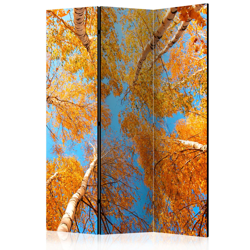 Aizslietnis 3-daļīgs - Rudens koku galotnes (135x172cm) 135x172 cm Home Trends