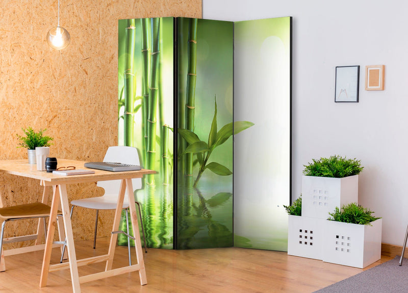 Aizslietnis 3-daļīgs - Zaļais bambuss (135x172cm) 135x172 cm Home Trends
