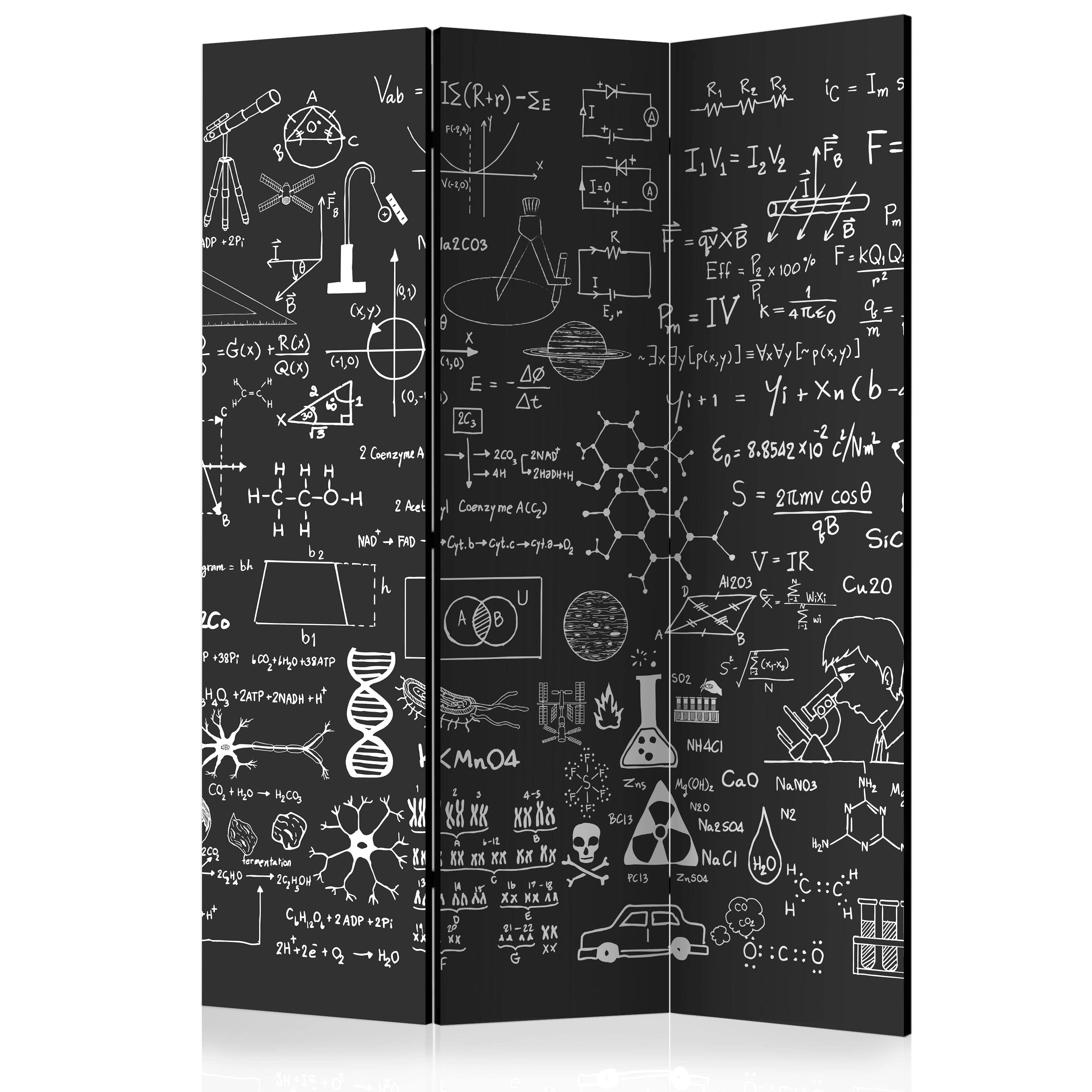 Aizslietnis 3-daļīgs - Zinātne uz tāfeles (135x172cm) Home Trends