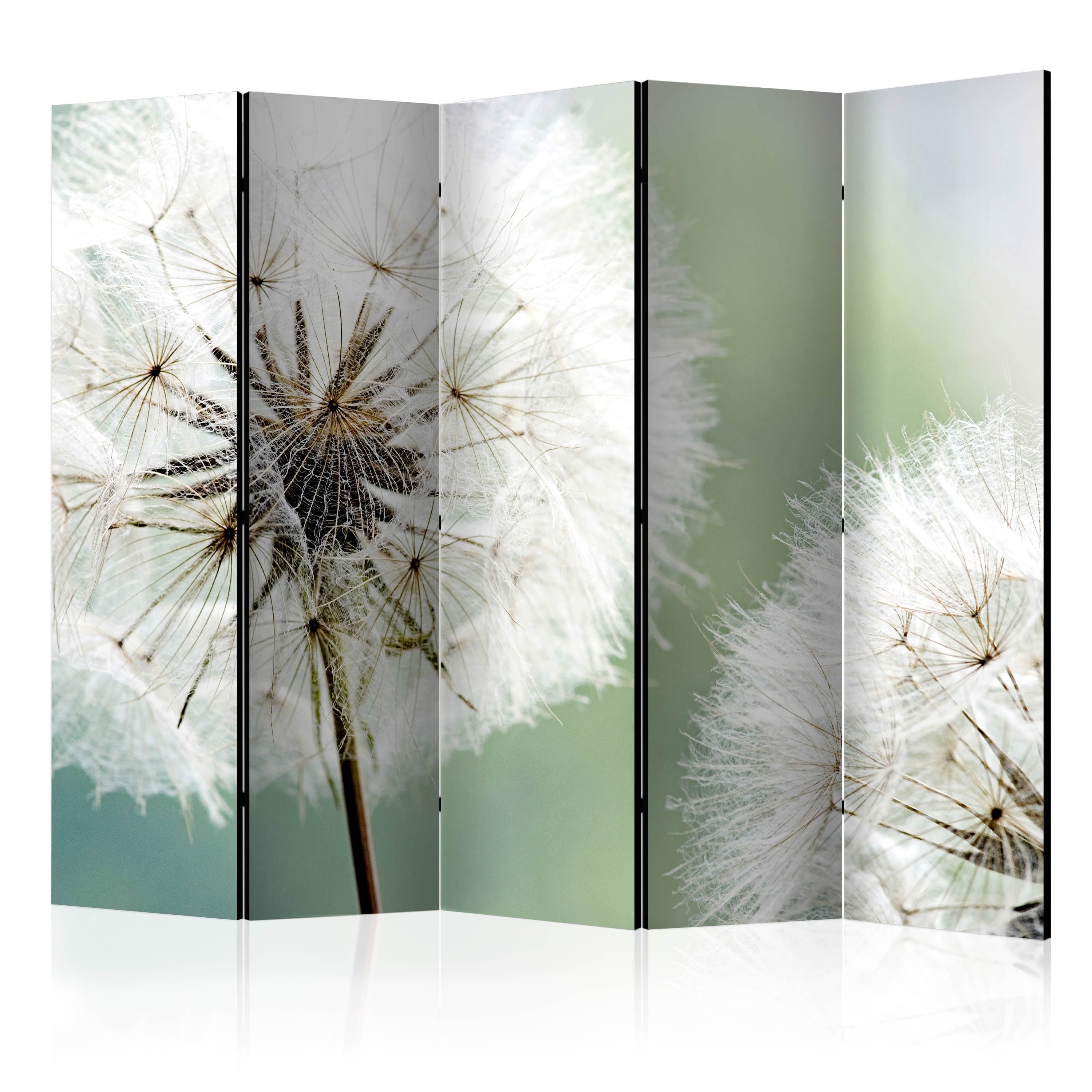 Aizslietnis 5-daļīgs - Divas pienenes (225x172cm) Home Trends
