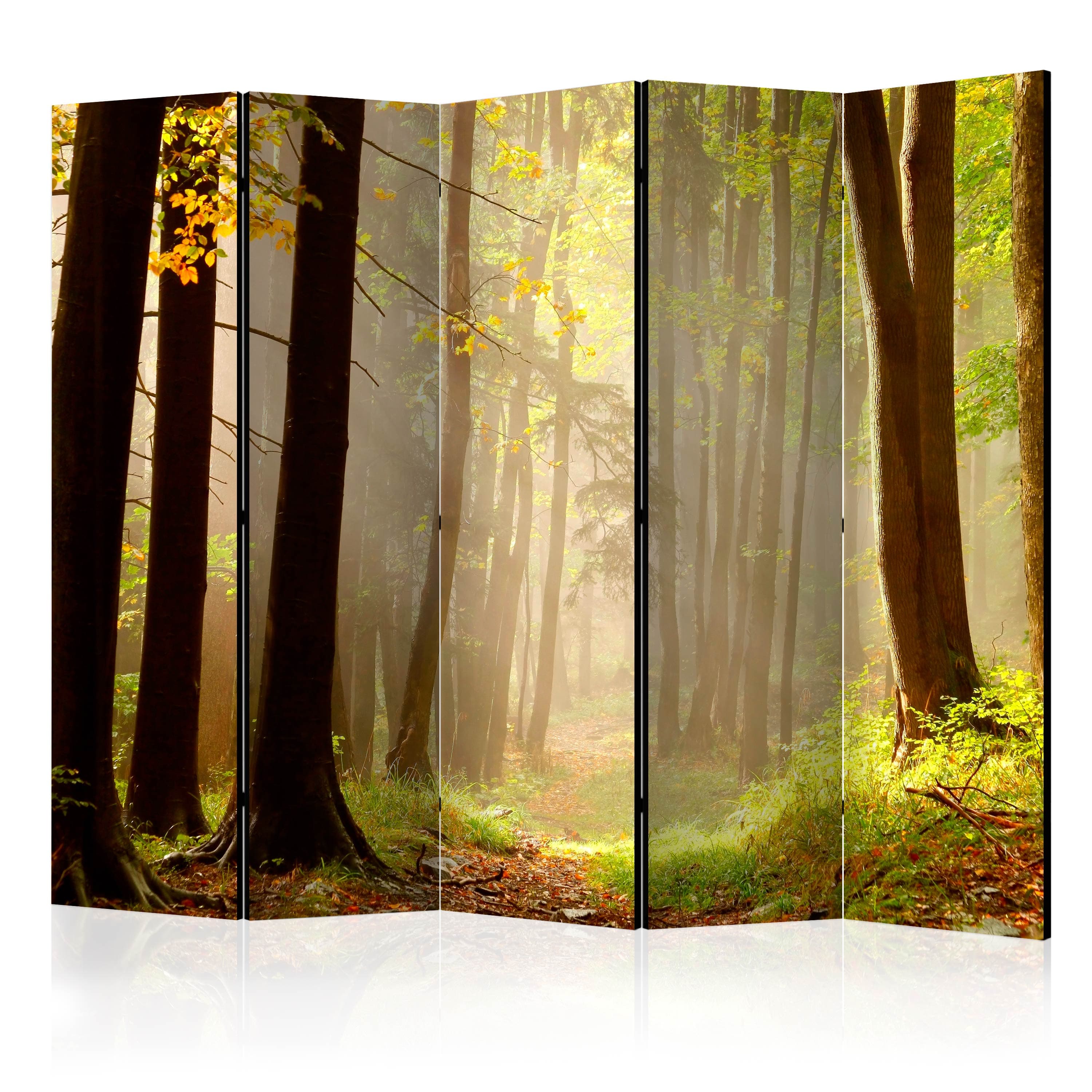 Aizslietnis 5-daļīgs - Noslēpumains meža ceļš (225x172cm) Home Trends