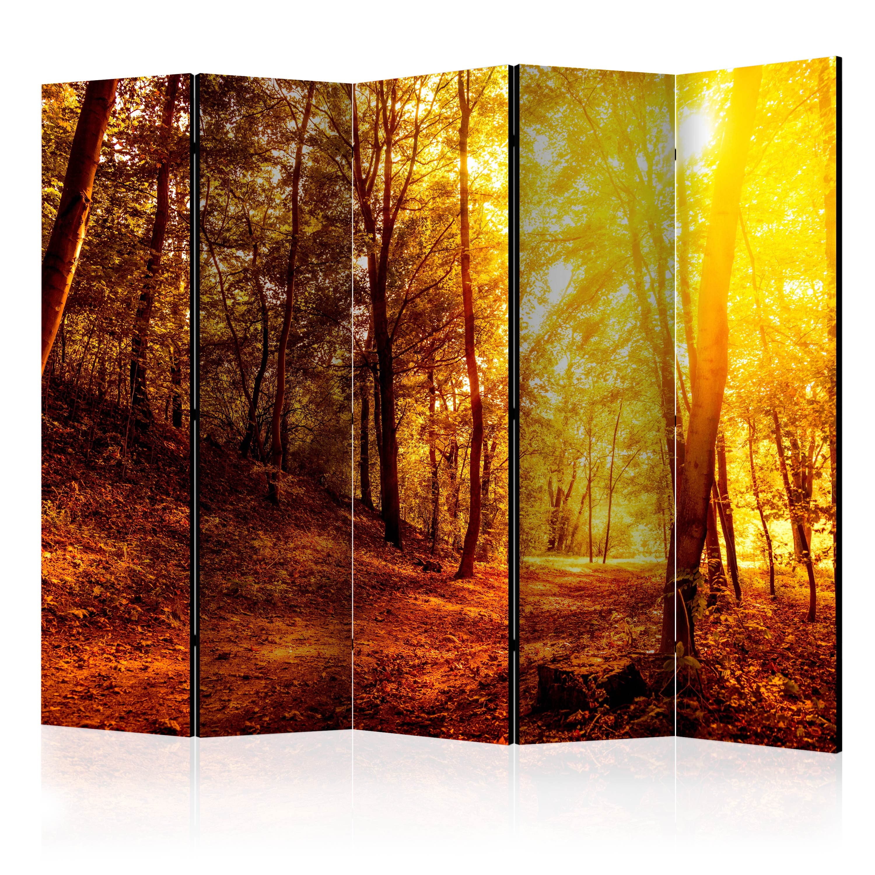 Aizslietnis 5-daļīgs - Rudens pastaiga (225x172cm) Home Trends