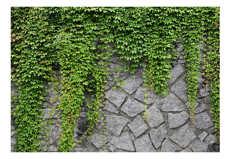Fototapetes ar ziediem - Zaļā siena