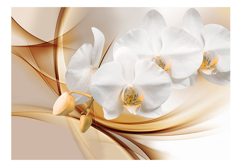 Fototapetes ar ziediem - Orhidejas zieds