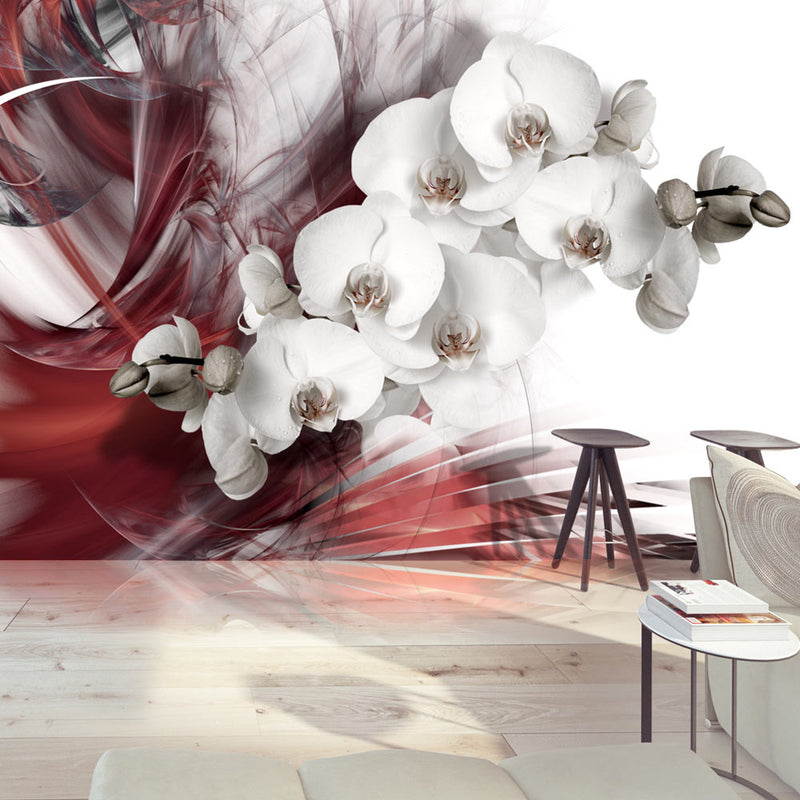 Fototapetes ar ziediem - Sarkanā orhideja