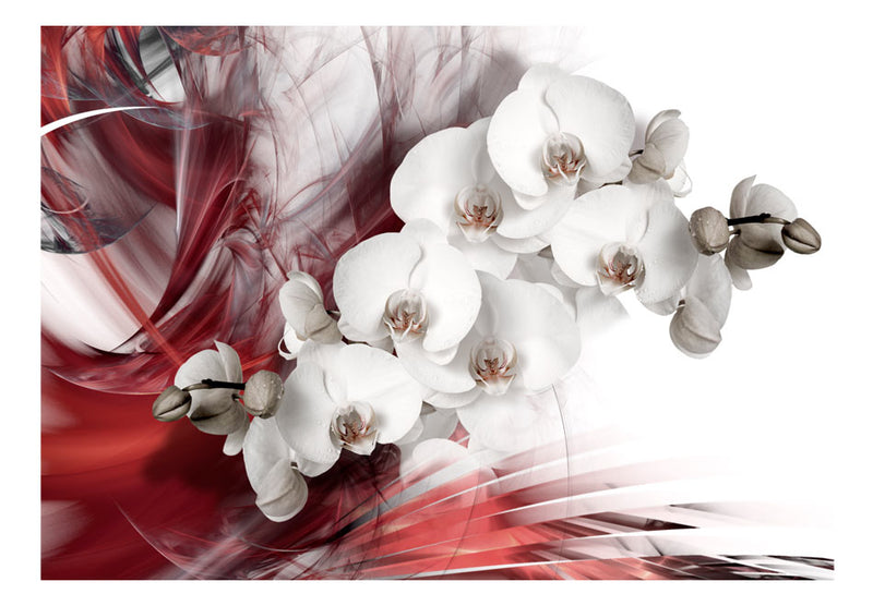 Fototapetes ar ziediem - Sarkanā orhideja