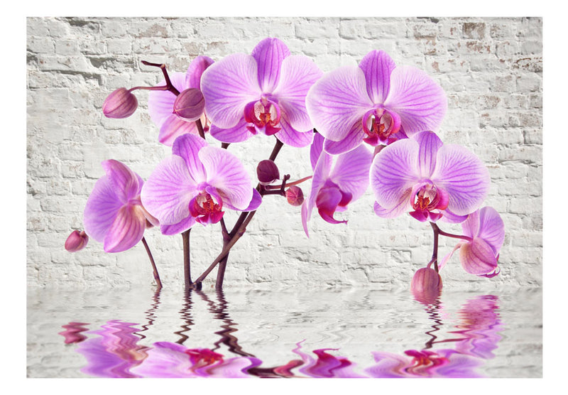 Fototapetes ar ziediem - Purple Delight