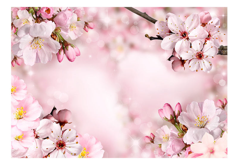 Fototapetes ar ziediem - Pavasara ķiršu zieds
