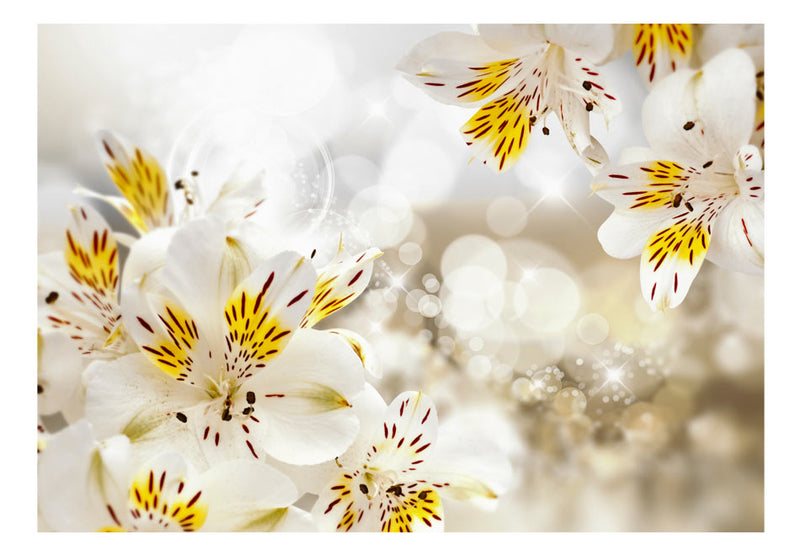 Fototapetes ar ziediem - Saulainā alstromērija