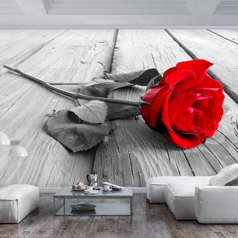 Fototapetes ar ziediem - Pamesta roze